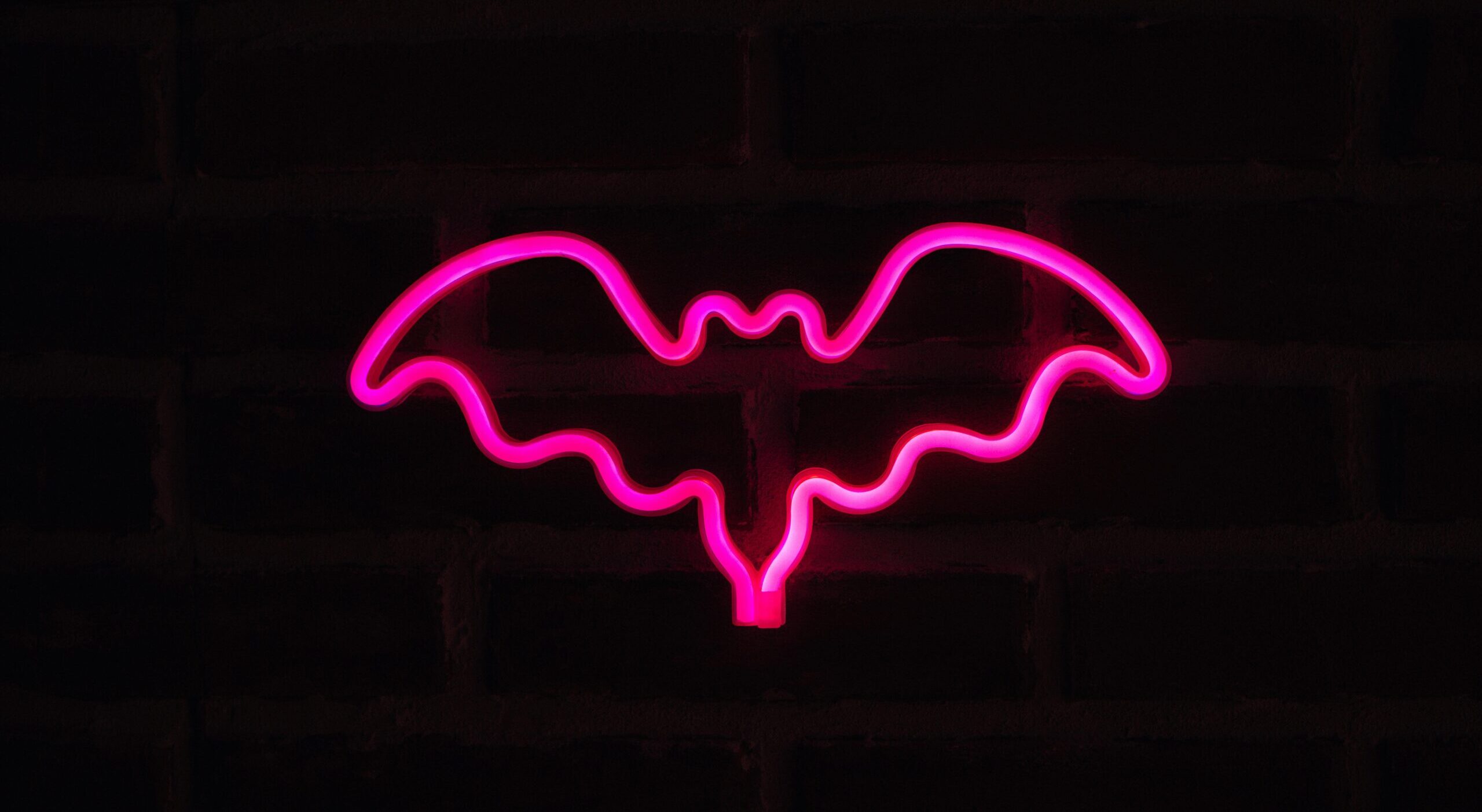 The bat man